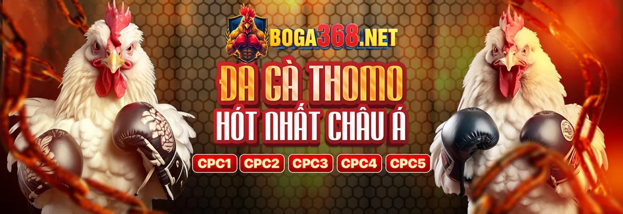 Khuyến Mãi Hấp Dẫn 2026 tại hi88bet win
